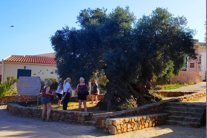 Monastery - Ancient Olive tree & Museum-Cretan Brewery Private Tour from Chania - Timing, pickup, and practical details