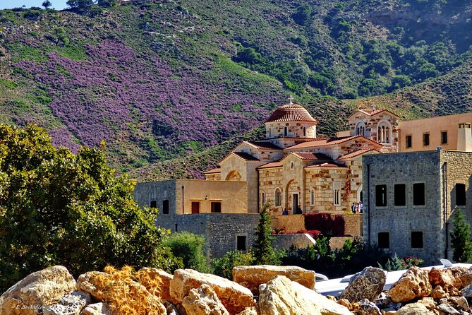 Monastery - Ancient Olive tree & Museum-Cretan Brewery Private Tour from Chania - Meeting the ancient olive tree at Vouves