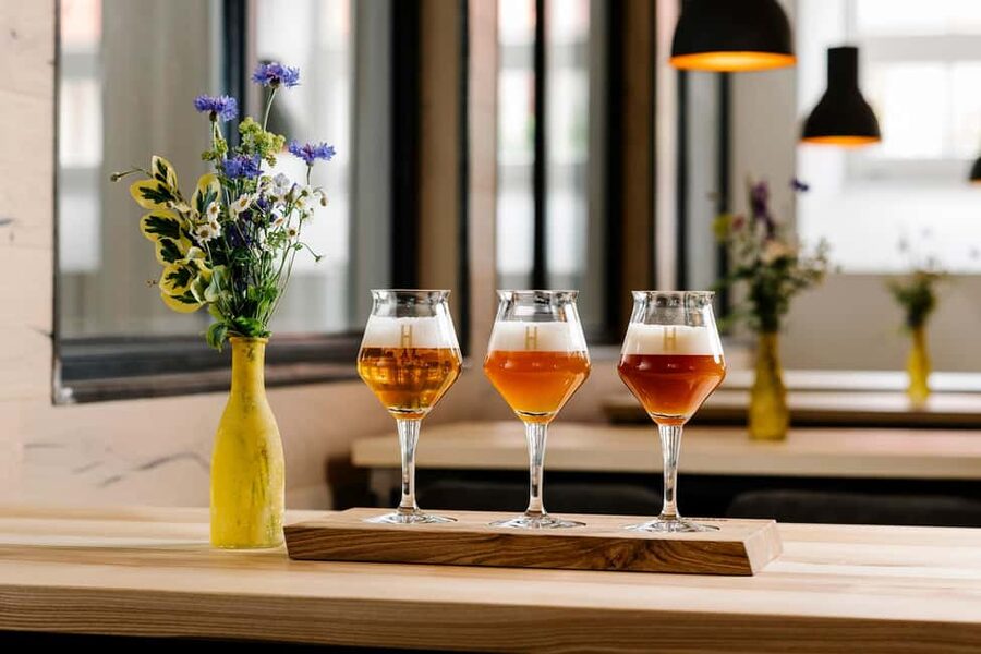 Munich: Brewery experience with beer & regional food - Comparing malt and smelling hops