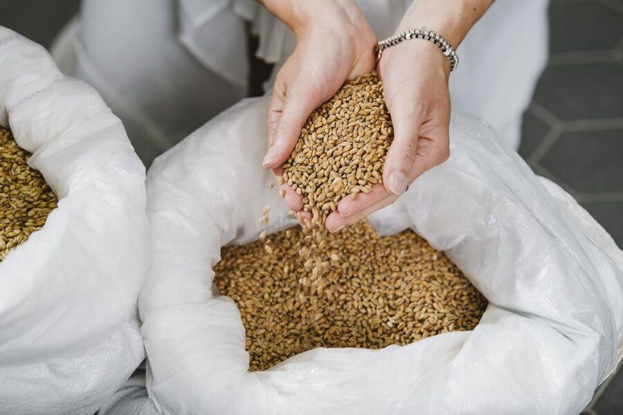 Munich: Hands-On Brewery Tour & Tasting of 4 Organic Beers - A working brewery, not just another beer stop