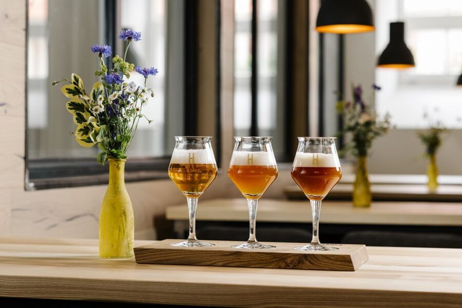 Munich: Hands-On Brewery Tour & Tasting of 4 Organic Beers - Four organic beers, including an IPA