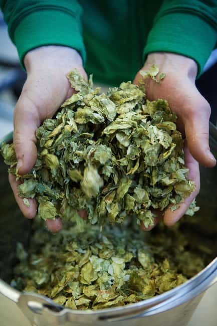 Night time tour of Harstad Craft Brewery - Key points to know before you book