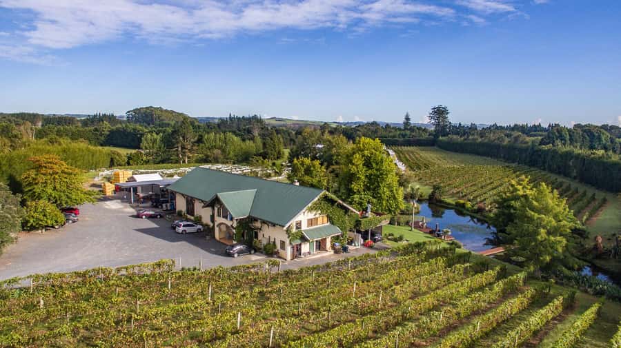 Paihia or Kerikeri: Wine, Spirit, & Craft Beer Tour - Marsden Estate and the platter lunch