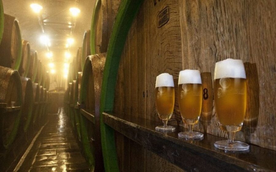 Pilsner Brewery & Nizbor Glass Factory Combination Tour - Languages, age rules, and what to bring