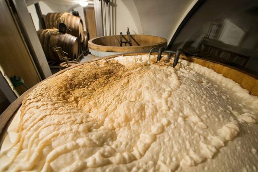 Prague: Beer Tasting and Brewery Tour - Who will enjoy this beer tour most