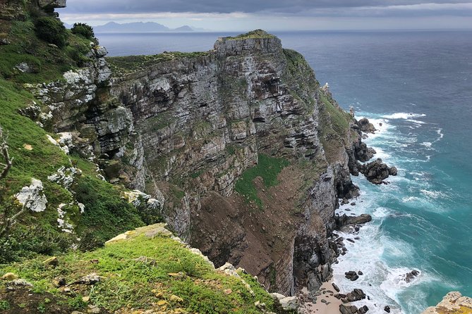 Private Day Tour to Cape Point , Penguins, Wine or Beer Tasting - From Cape Town to Camps Bay and Clifton
