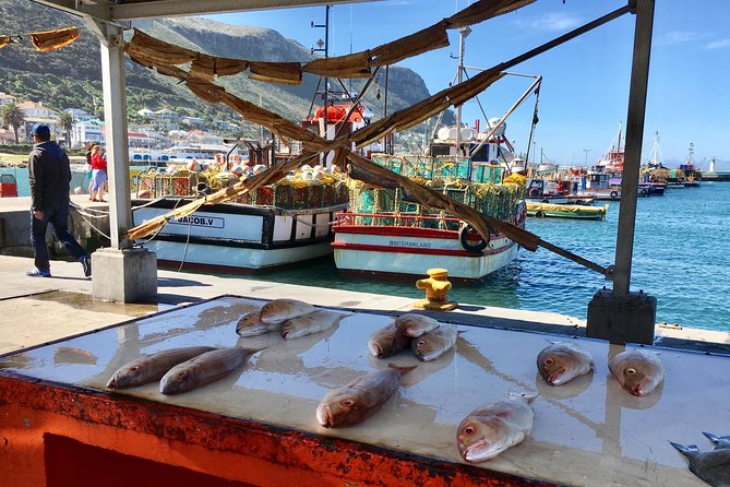 Private Day Tour to Cape Point , Penguins, Wine or Beer Tasting - Cape Point: plants, sea, and the Cape of Good Hope