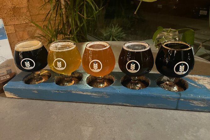 Private San Diego Beer Tasting Tour - Four hours across San Diego’s craft beer scene