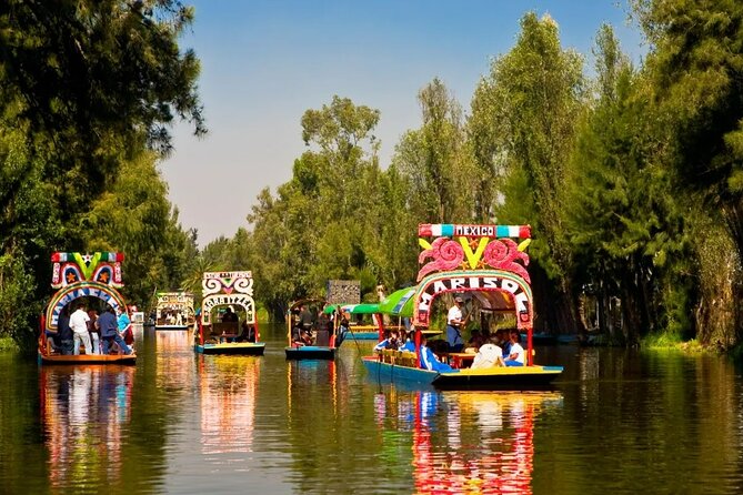 Private Tequila Craft Beer Tasting - Mexico City Floating Gardens - Why Xochimilco is the right setting for a tasting