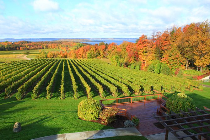 Private Traverse City Winery or Brewery Tour - What the four-hour schedule really feels like