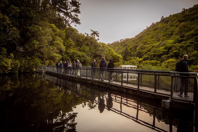 Private Wellington Craft Beer Full Day Tour - Is $223.41 a fair price?