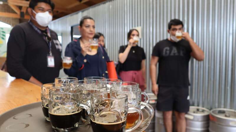 Puebla: Cholula Craft Beer Tour by Tram - Key points to know before booking