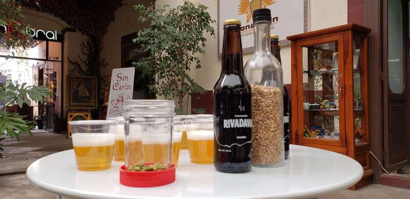 Puebla: Cholula Craft Beer Tour by Tram - Visiting the craft beer factory