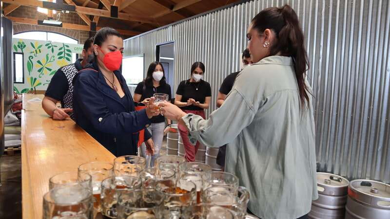 Puebla: Cholula Craft Beer Tour by Tram - Comparing two more breweries