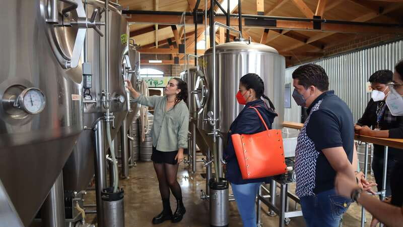 Puebla: Cholula Craft Beer Tour by Tram - Who will enjoy this Cholula outing