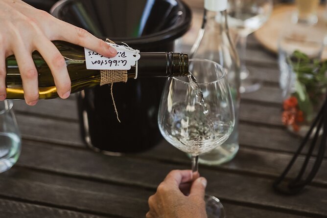 Queenstown: Afternoon Wine & Beer Tour with Platters - Who should book this tour