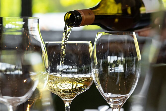 Queenstown Gin, Wine & Beer Tour | Adults Only - Amisfield’s Central Otago finish