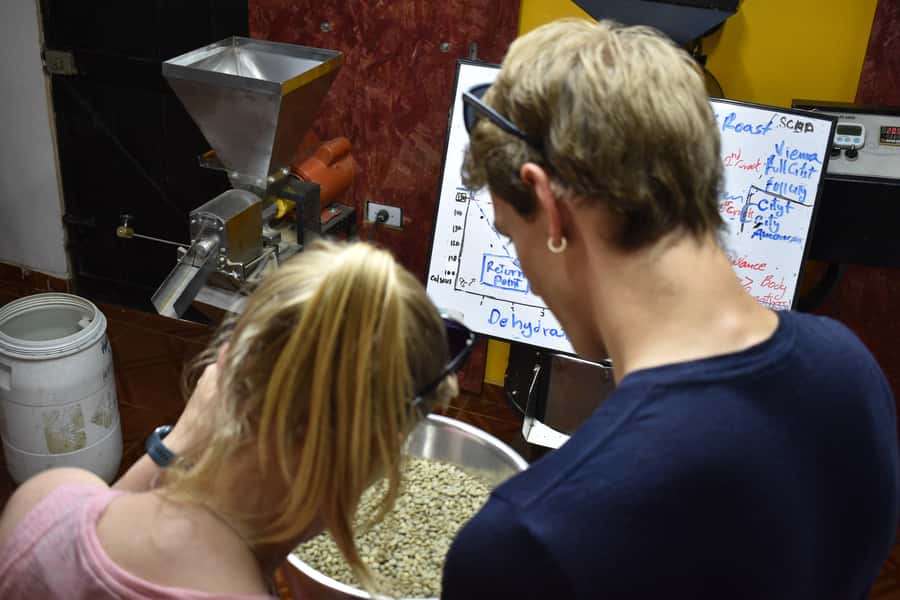 Salento: Coffee Master Roasting, Brewing and Tasting Tour - From green bean to roasted coffee in two hours