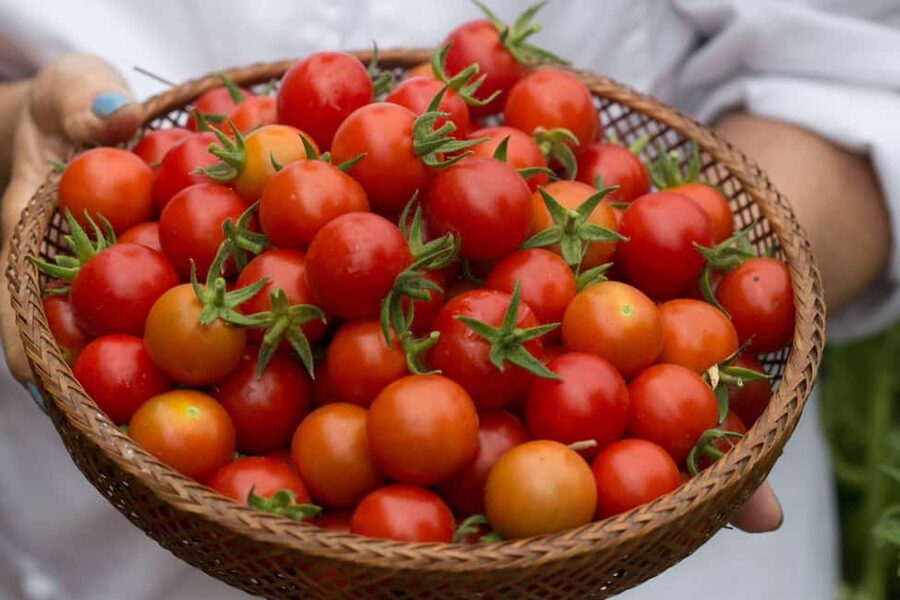 San Diego: 2-Hour Pasta Cooking Class at a Local Brewery - What the $75 price really covers