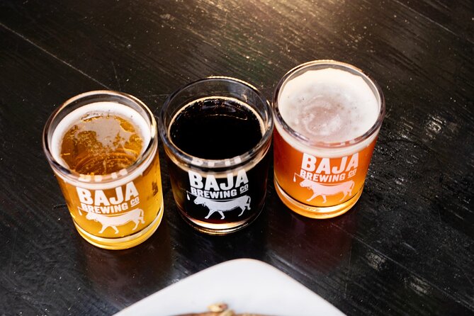San Jose del Cabo Art Walk, Beer Tasting &Chocolate Demonstration - Timing, pace, and who should book