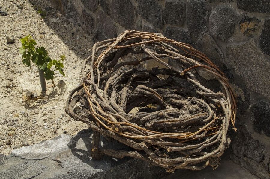 Santorini: Three Wineries and One Brewery Tour with Tastings - Food pairings keep the tasting grounded