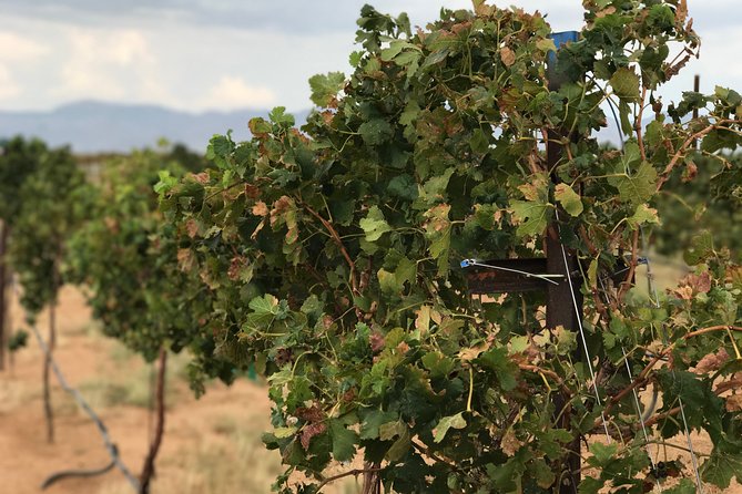 Scenic Desert Wine Distillery Brewery Route 66 Tour - Why this Kingman tour works so well