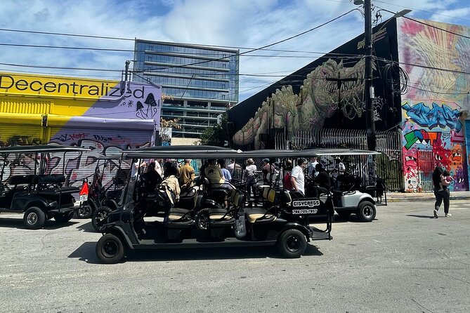 Small-Group Brewery Golf Cart Tour of Wynwood with a Local Guide - Wynwood Walls and the paid art complex