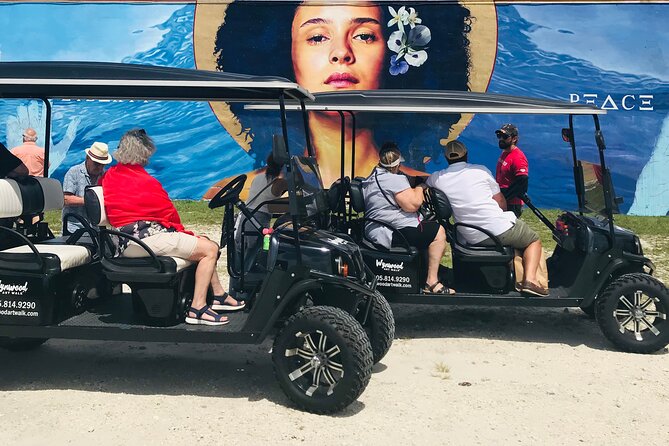 Small-Group Brewery Golf Cart Tour of Wynwood with a Local Guide - Wynwood’s murals, alleys, and side streets