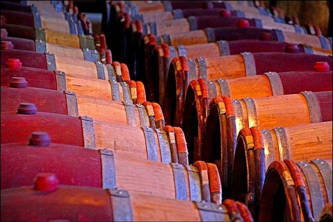 Small group - Napier Premium Wineries+ Beer tour -5.0 - 5.5 hours - Cheese, platters, and light nibbles