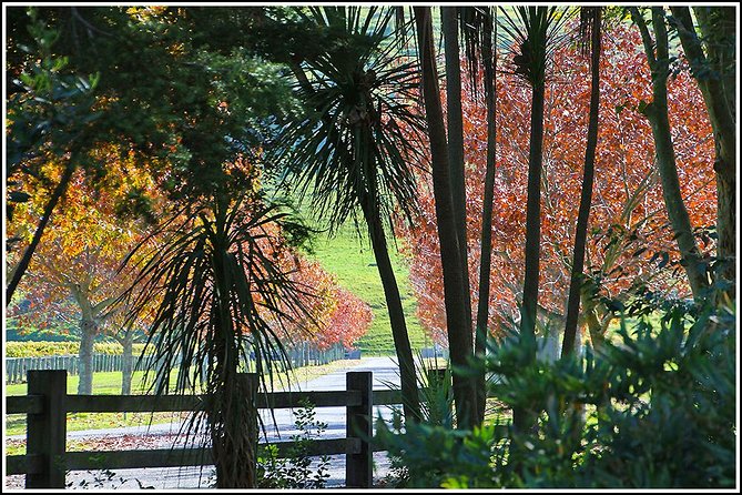 Small group - Napier Premium Wineries+ Beer tour -5.0 - 5.5 hours - Five and a half hours, with hotel pickup