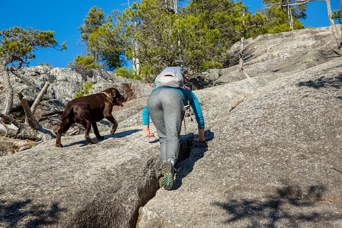 Stawamus Chief Hike & Local Brewery Tasting - The bridge stop adds a little local context