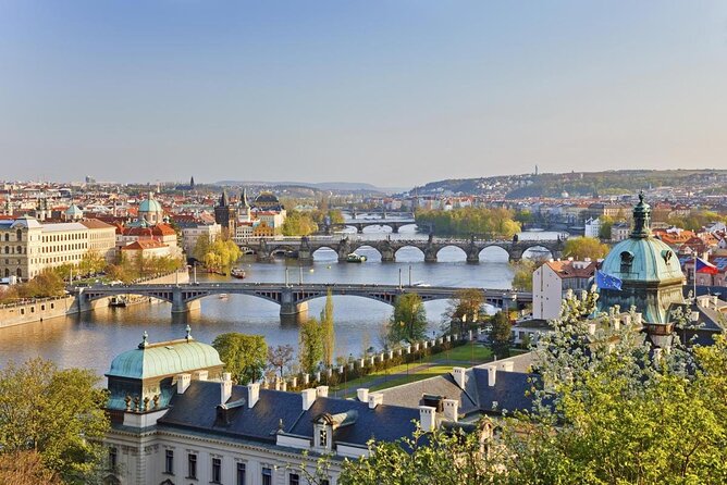 Sunny Beer garden tour - Key points to know before you book