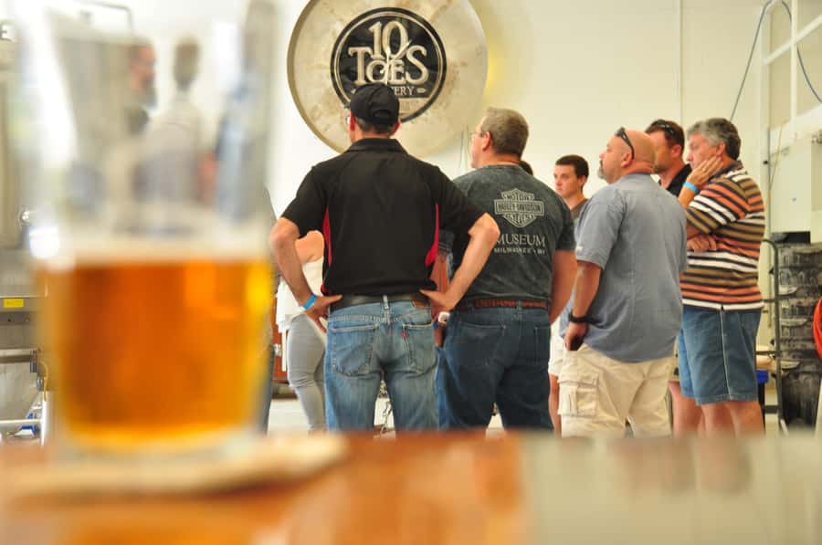 Sunshine Coast: Brewery Tour with lunch - Is $173 Good Value?