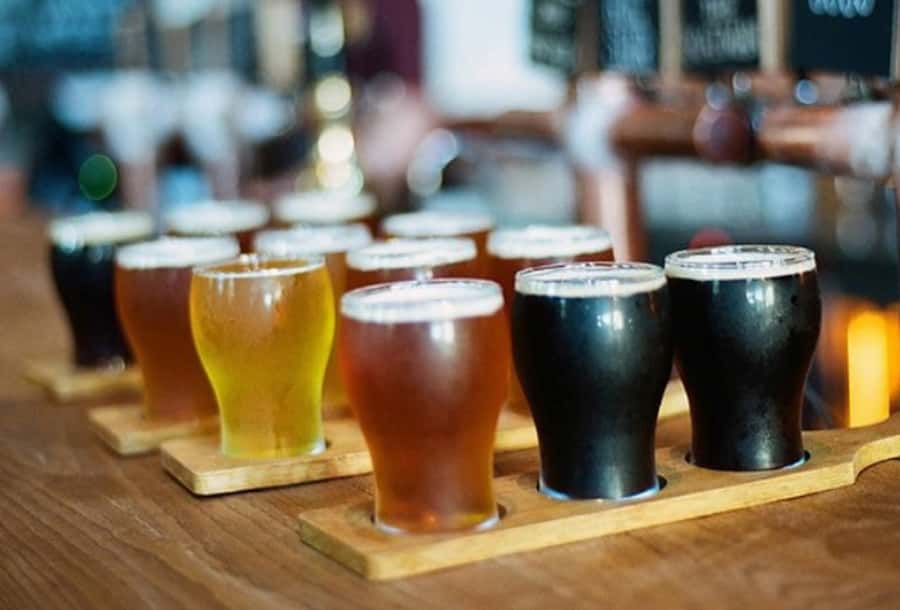 Sydney: 3-Hour Craft Beer and Breweries Tour - What You Learn Inside a Working Brewery