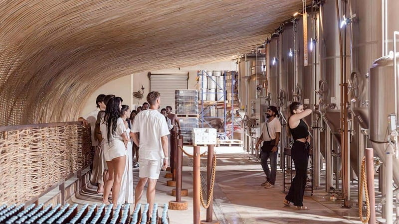 Tulum Brewery Tour & Beer Flight (Tasting Craft Beer) - Why the seawater beer is the main event