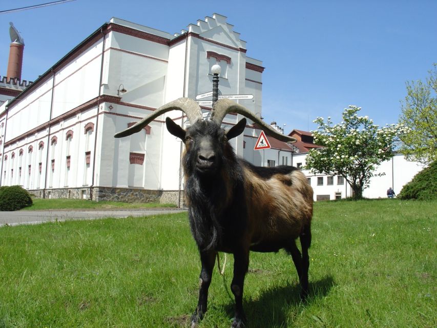 Velke Popovice: Kozel Brewery Tour with Beer Tasting - Why Velké Popovice is worth the trip