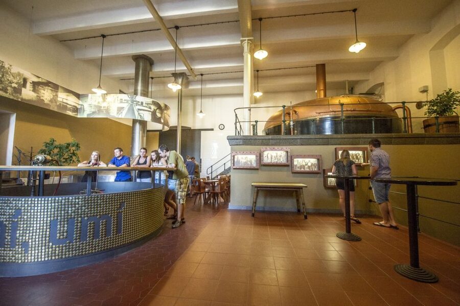 Velke Popovice: Kozel Brewery Tour with Beer Tasting - Is the $11 price good value?