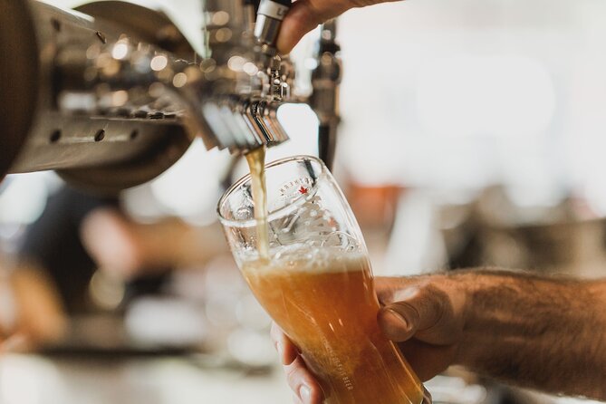 Wanaka Breweries E-Bike Tour - Craft beer, food pairings, and the value of the day