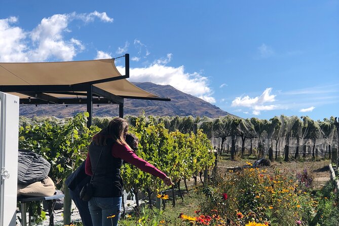 Wanaka Breweries E-Bike Tour - How demanding is the ride?