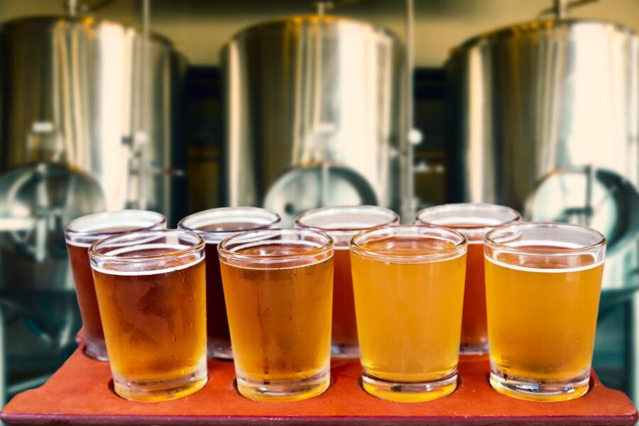 Warsaw Private Polish Beer Tasting Tour at Best Pubs & Bars - What makes the private format useful
