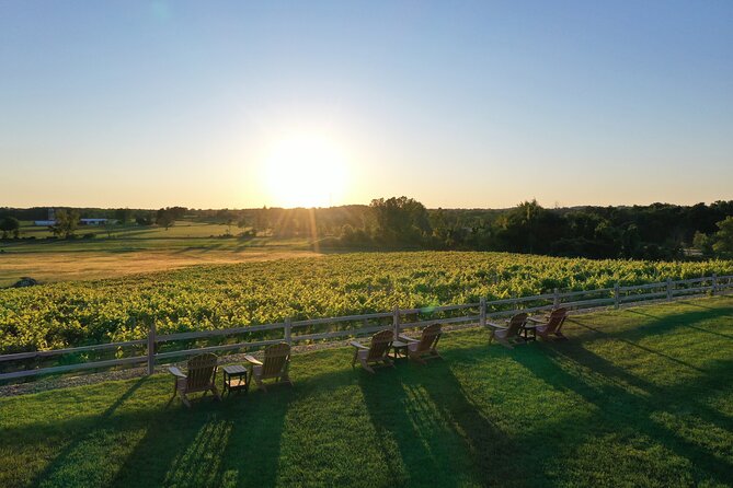 West Michigan Wine and Brewery Join in Day Tour - Stoney Ridge Vineyards starts the afternoon gently
