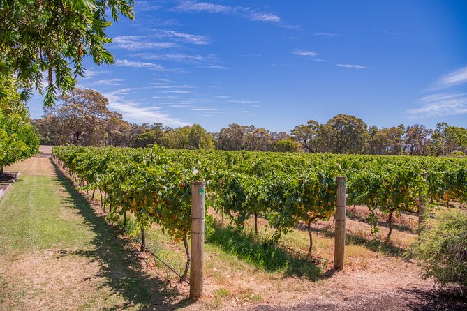 Wine, Craft Beer & Restaurant Lunch (Italian-A'la Carte). - Three wineries, one long look at Margaret River