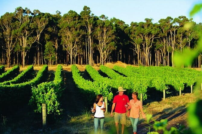 Wine, Craft Beer & Restaurant Lunch (Italian-A'la Carte). - Pickup makes a full tasting day easier