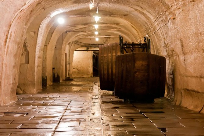 WINE, FOOD & BEER TOUR from Prague to PILSEN - Who should book this experience?