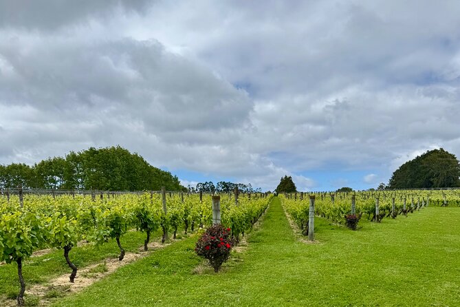 Wineries / Brewery - Timing, weather, and cancellation details