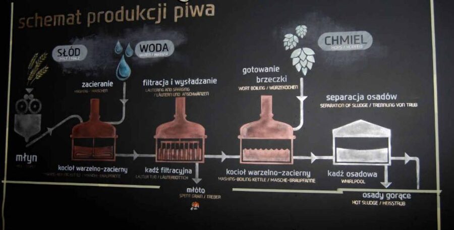 Wroclaw: Guided Tour & Beer Tasting (2 hours) - What the beer tasting actually includes