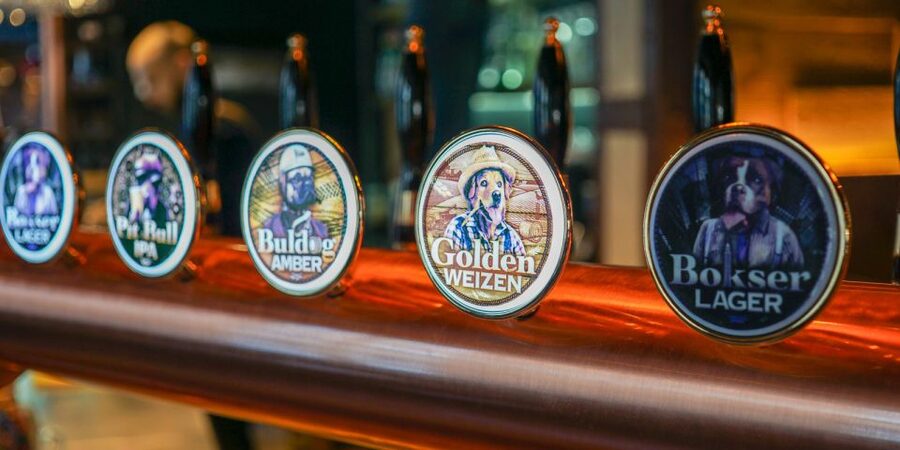 Wroclaw: Guided Tour & Beer Tasting (2 hours) - Rynek and the Old Town Hall in the first 20 minutes